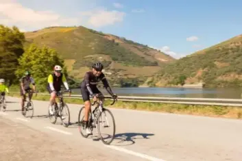 Bike Tour by the Douro River - Wine Country and International Park